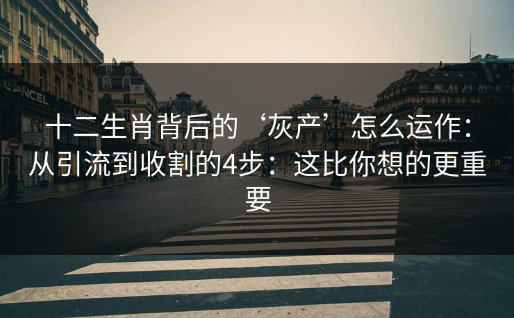 十二生肖背后的‘灰产’怎么运作：从引流到收割的4步：这比你想的更重要