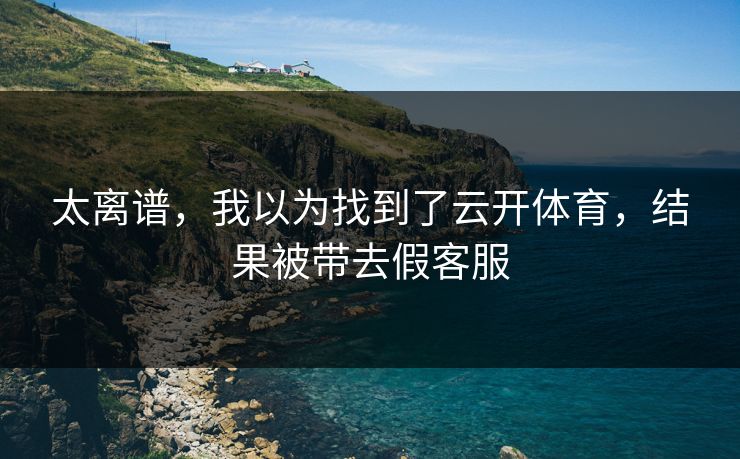 太离谱，我以为找到了云开体育，结果被带去假客服
