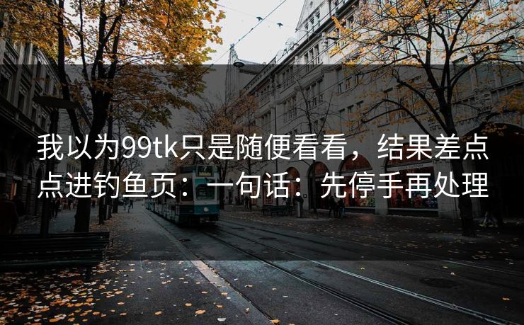 我以为99tk只是随便看看，结果差点点进钓鱼页：一句话：先停手再处理