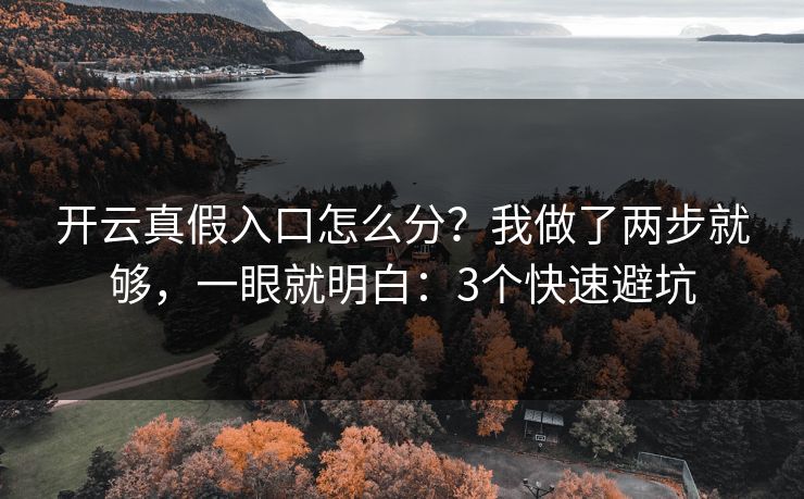 开云真假入口怎么分？我做了两步就够，一眼就明白：3个快速避坑